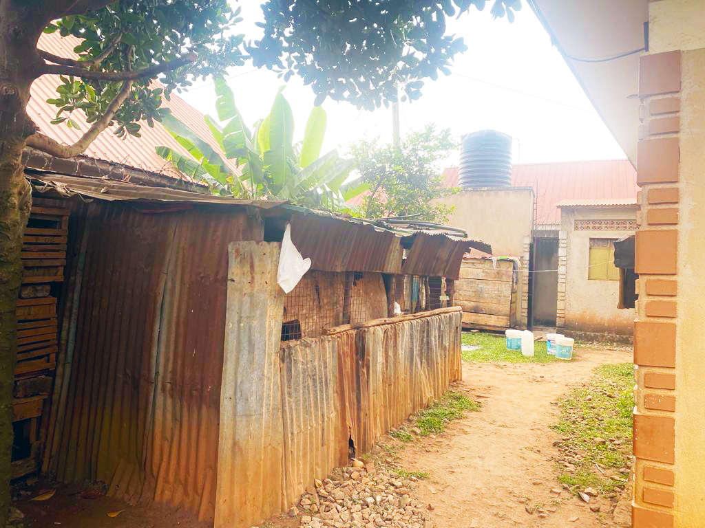 WhatsApp Image 2023-08-23 at 9.43.51 AM 2.jpeg